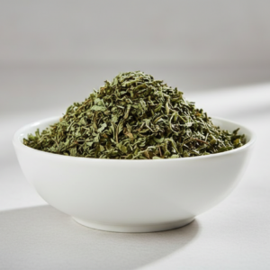 אכיניצאה (עלים גרוס) Echinacea